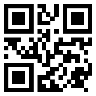 Il Qr Code di 3917696891