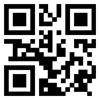 Il Qr Code di 3917696935