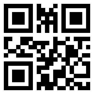 Il Qr Code di 3917697019