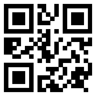 Il Qr Code di 3917697029