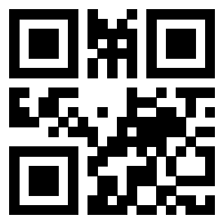 Il Qr Code di 3917697063