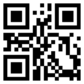 Il Qr Code di 3917697707
