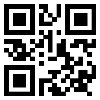 Il Qr Code di 3917751724