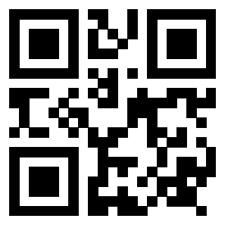 Il Qr Code di 3917751872