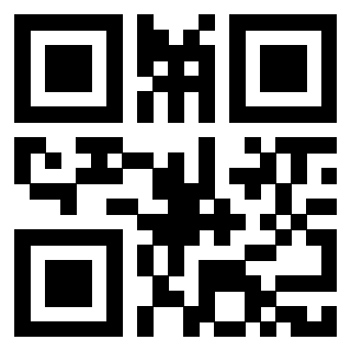 Il Qr Code di 3917751892