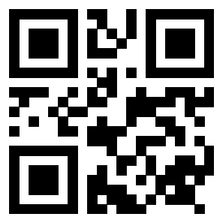 Il Qr Code di 3917898829