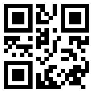 Il Qr Code di 3917898912