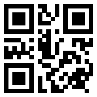 Il Qr Code di 3917898928