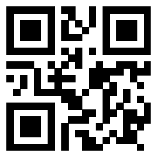 Il Qr Code di 3917903817
