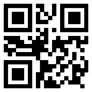 Il Qr Code di 3917903869