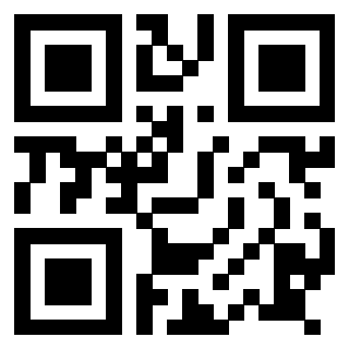 Il Qr Code di 3917904030