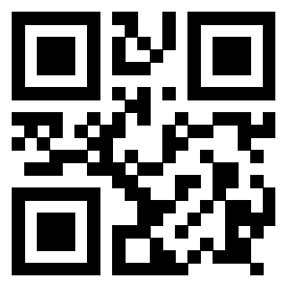 Il Qr Code di 3917912208