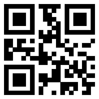 Il Qr Code di 3917912272