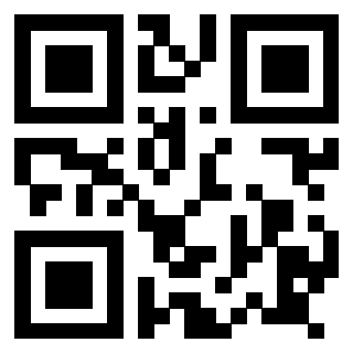 Il Qr Code di 3917912397