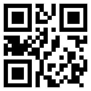 Il Qr Code di 3917912463