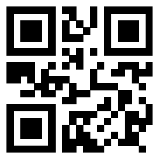 Il Qr Code di 3917912664