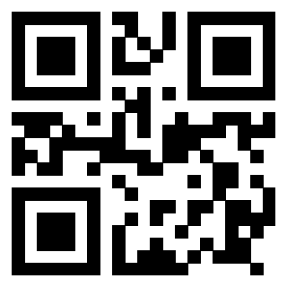 Il Qr Code di 3917912803