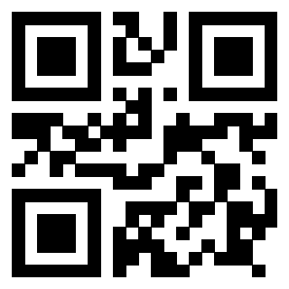 Il Qr Code di 3917912829