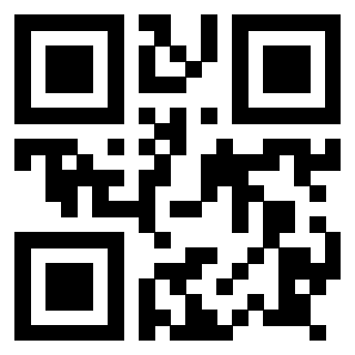 Il Qr Code di 3917912872