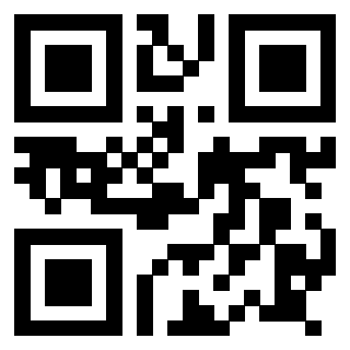 Il Qr Code di 3917912879