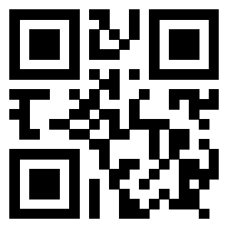 Il Qr Code di 3917912906
