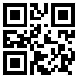 Il Qr Code di 3917912976