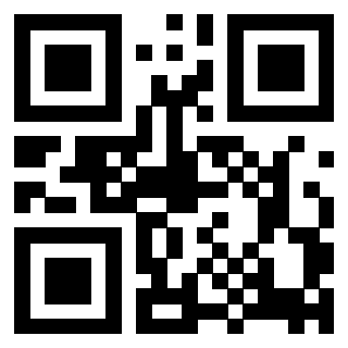 Il Qr Code di 3917913014