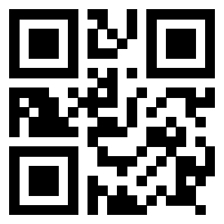 QrCode di 3917913030