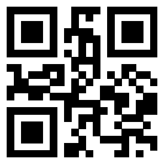 QrCode di 3917913063