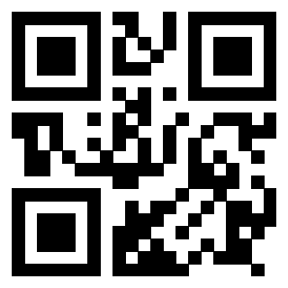 QrCode di 3917913070