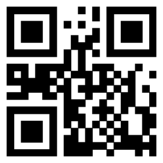 Il Qr Code di 3917913082