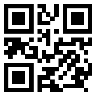 Il Qr Code di 3918027898