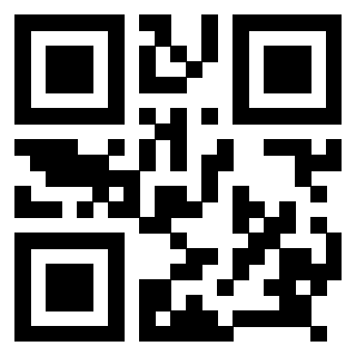 Il Qr Code di 3918028433