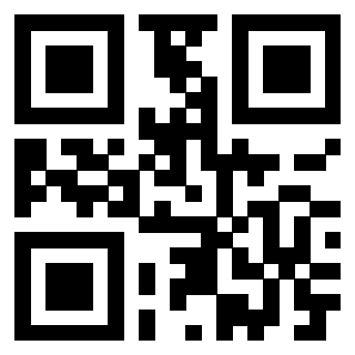Il Qr Code di 3918028478