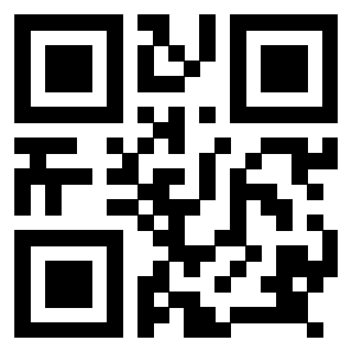 Il Qr Code di 3918036074