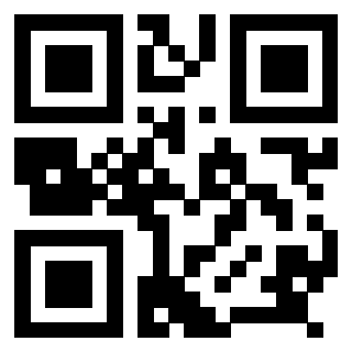 Il Qr Code di 3918036508