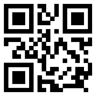Il Qr Code di 3918036512