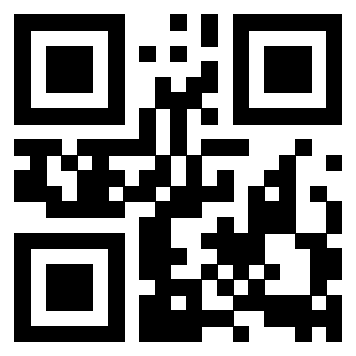 Il Qr Code di 3918053453