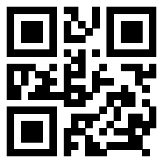QrCode di 3918257340