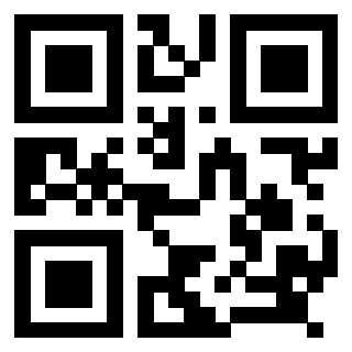 Il Qr Code di 3918257556