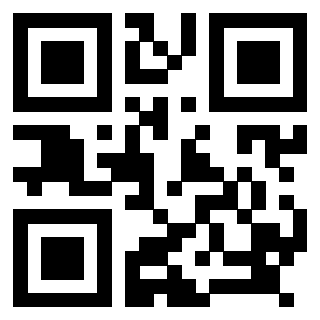 Il Qr Code di 3918262979