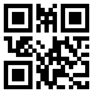QrCode di 3918263343