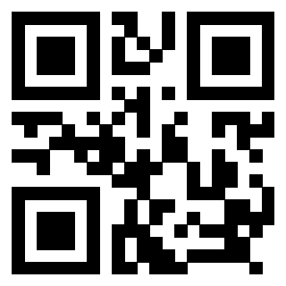 Il Qr Code di 3918284946