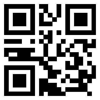 Il Qr Code di 3918285006