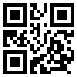 Il Qr Code di 3918285079