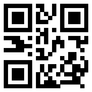 Il Qr Code di 3918286513