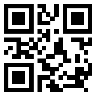 Il Qr Code di 3918291490