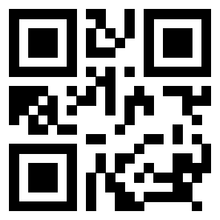 Il Qr Code di 3918291510