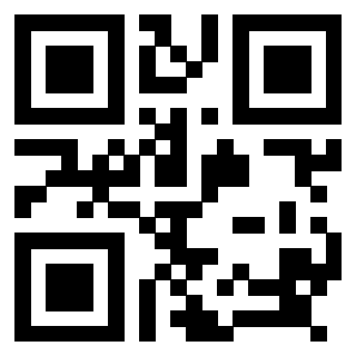 Il Qr Code di 3918291592