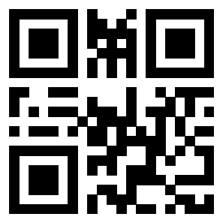 Il Qr Code di 3918291895
